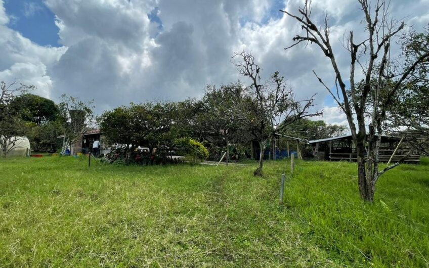 Finca para la Venta – Vía a Quimbaya