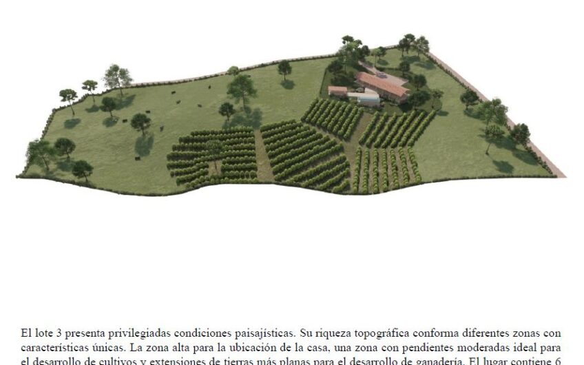 El Legado – Exclusivo Proyecto de Terrenos Parcelados – Montenegro, Quindío