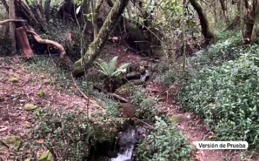 Casa Campestre Amoblada Para La Venta En Bogotá