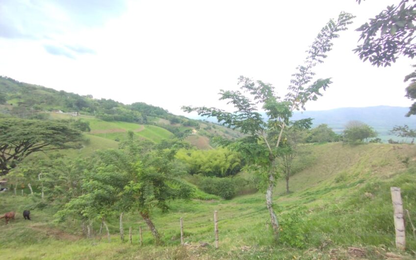 Finca Ganadera y Turística Para la Venta La Virginia Risaralda