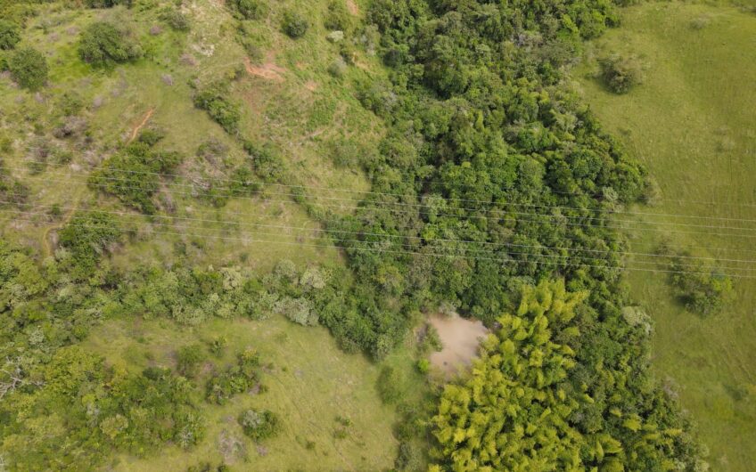 Finca Ganadera Para La Venta La Virginia Risaralda