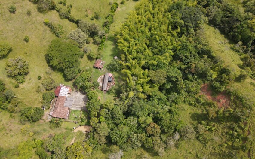 Finca Ganadera Para La Venta La Virginia Risaralda