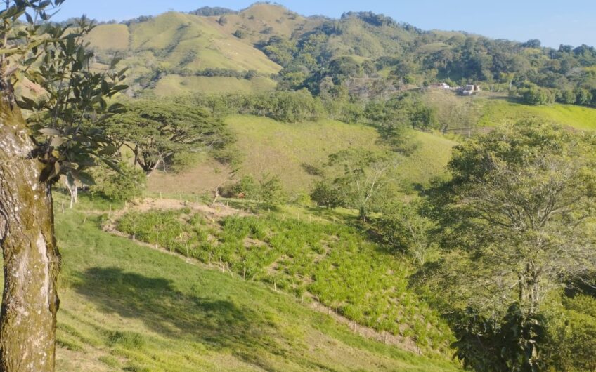 Finca Ganadera y Turística Para la Venta La Virginia Risaralda