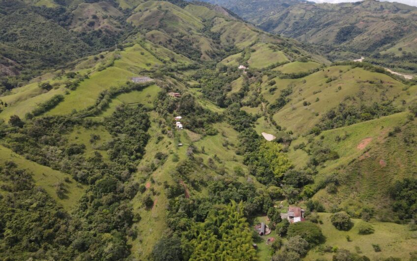 Finca Ganadera Para La Venta La Virginia Risaralda
