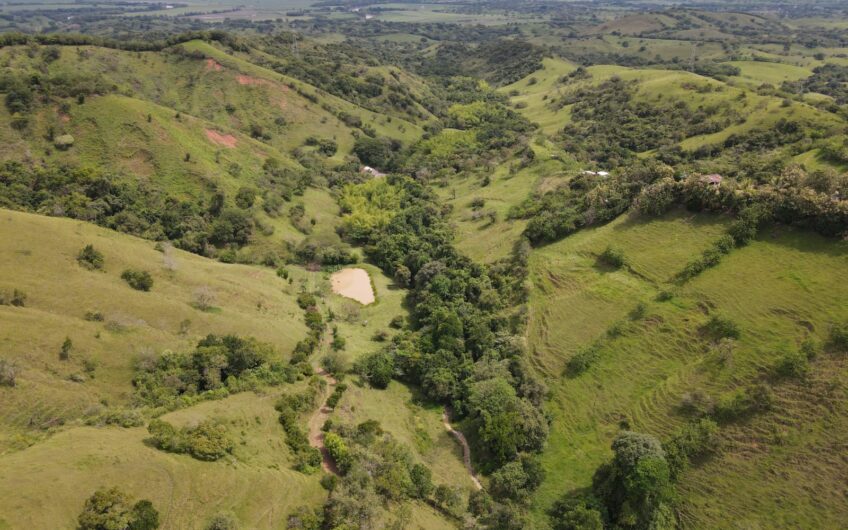 Finca Ganadera Para La Venta La Virginia Risaralda