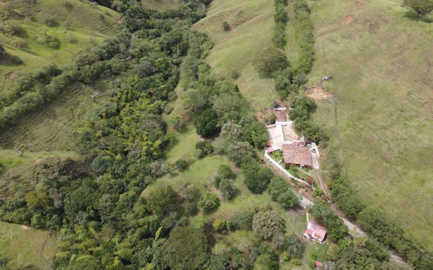 Finca Ganadera Para La Venta La Virginia Risaralda