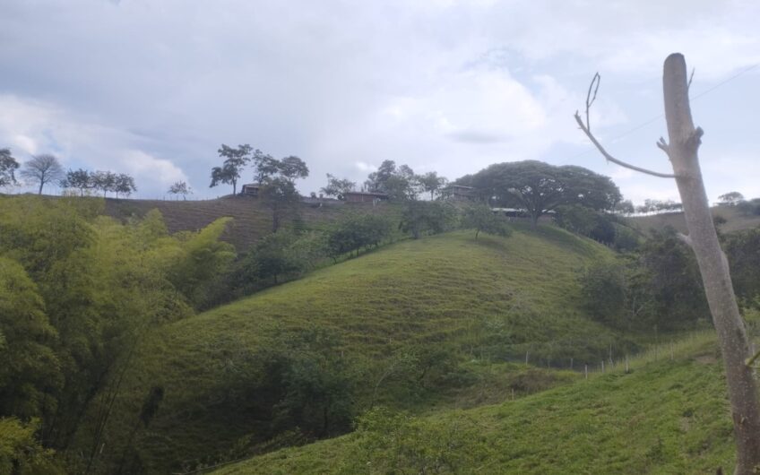 Finca Ganadera y Turística Para la Venta La Virginia Risaralda