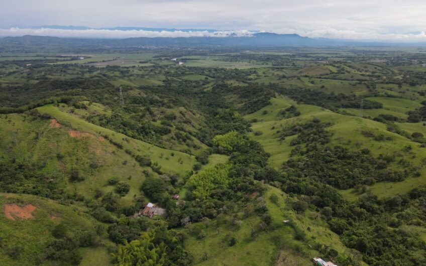Finca Ganadera Para La Venta La Virginia Risaralda