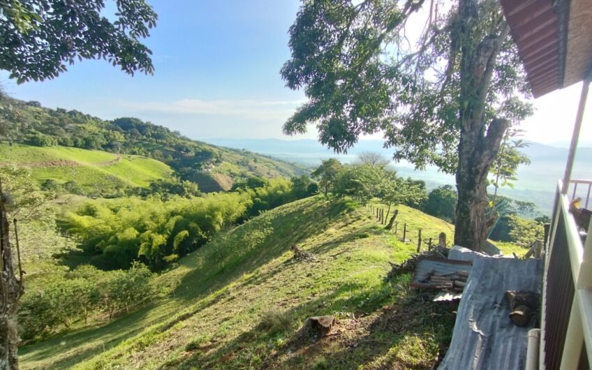 Finca Ganadera y Turística Para la Venta La Virginia Risaralda