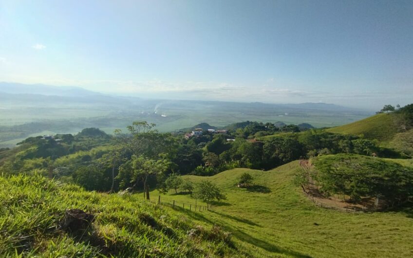 Finca Ganadera y Turística Para la Venta La Virginia Risaralda