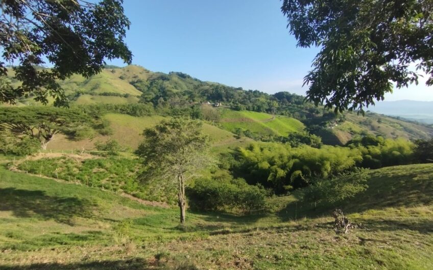 Finca Ganadera y Turística Para la Venta La Virginia Risaralda
