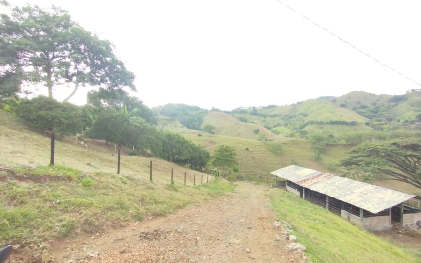 Finca Ganadera y Turística Para la Venta La Virginia Risaralda