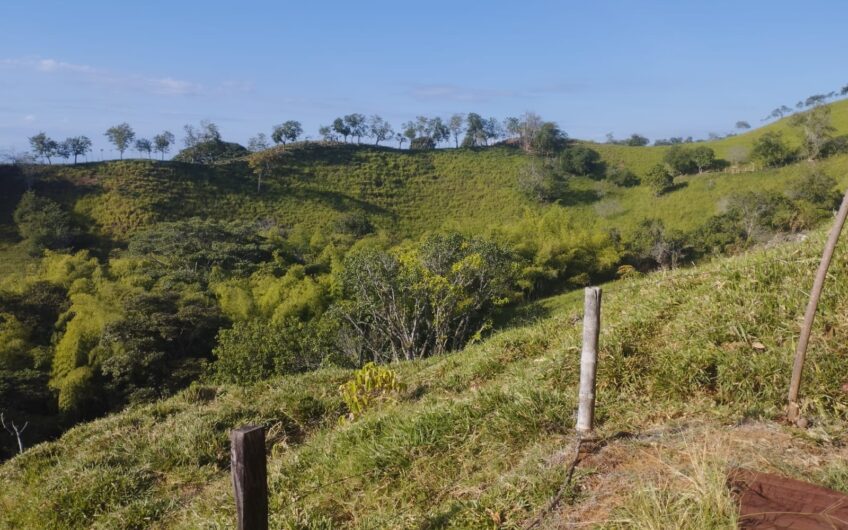 Finca Ganadera y Turística Para la Venta La Virginia Risaralda