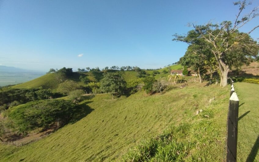 Finca Ganadera y Turística Para la Venta La Virginia Risaralda