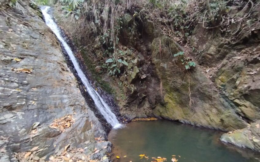 Finca Ganadera y Turística Para la Venta La Virginia Risaralda