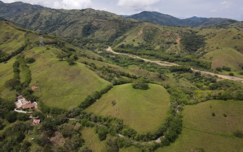 Finca Ganadera Para La Venta La Virginia Risaralda