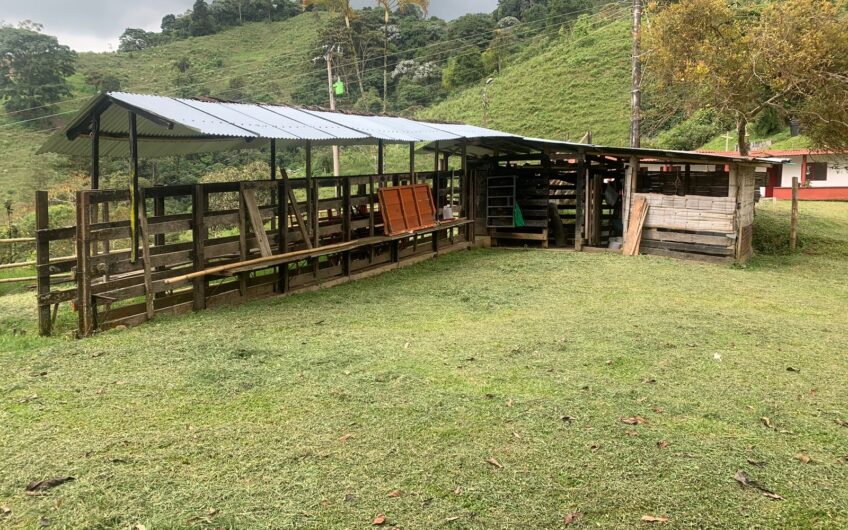 Finca Para La Venta – Córdoba Quindío
