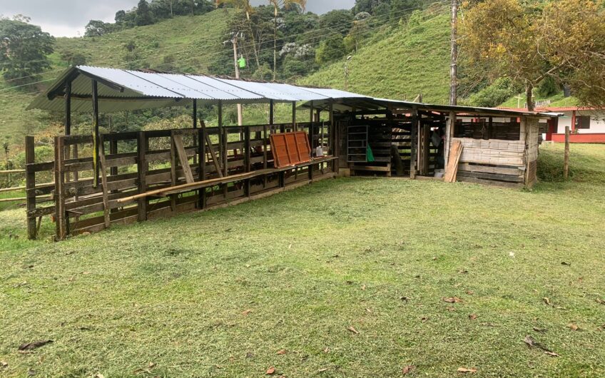 Finca Para La Venta – Córdoba Quindío