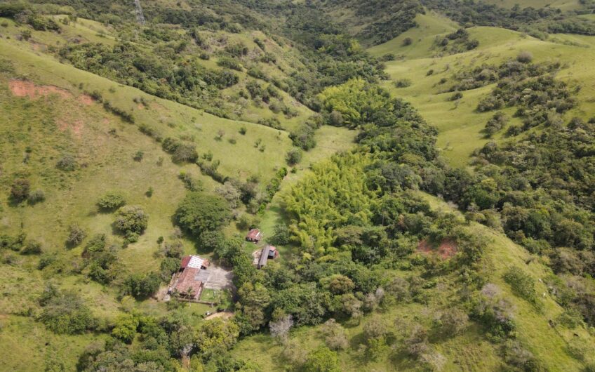 Finca Ganadera Para La Venta La Virginia Risaralda