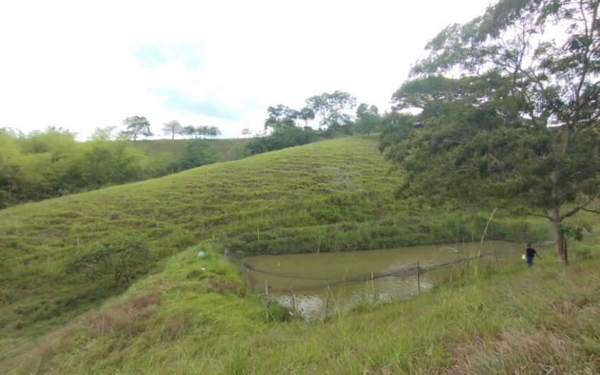 Finca Ganadera y Turística Para la Venta La Virginia Risaralda
