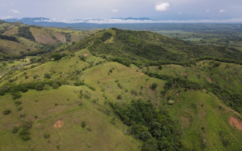 Finca Ganadera Para La Venta La Virginia Risaralda