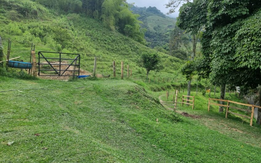 Finca Para La Venta – Córdoba Quindío