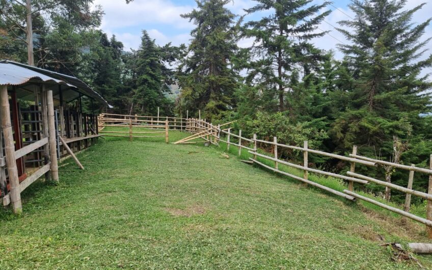 Finca Para La Venta – Córdoba Quindío