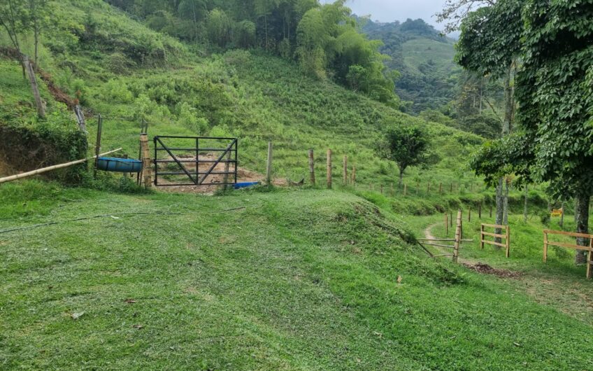 Finca Para La Venta – Córdoba Quindío