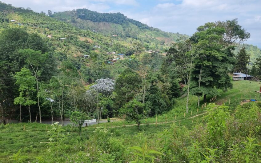 Finca Para La Venta – Córdoba Quindío