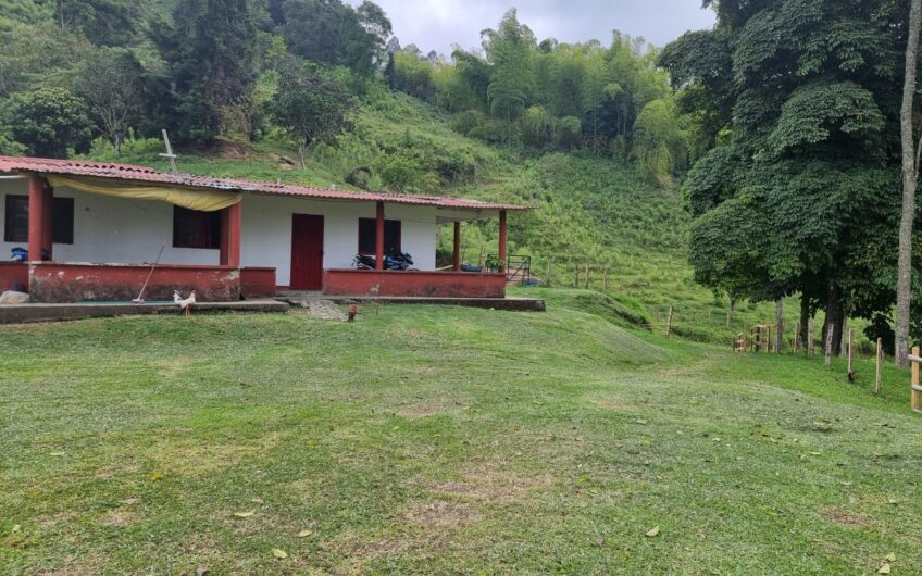 Finca Para La Venta – Córdoba Quindío