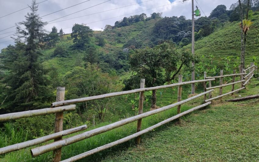 Finca Para La Venta – Córdoba Quindío