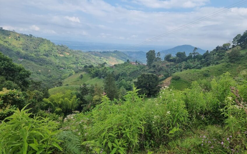 Finca Para La Venta – Córdoba Quindío
