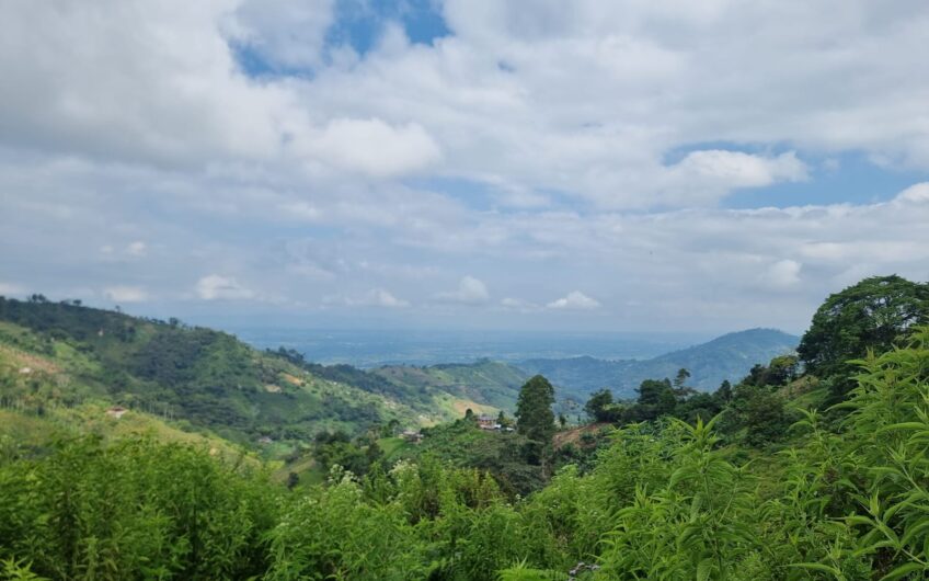 Finca Para La Venta – Córdoba Quindío