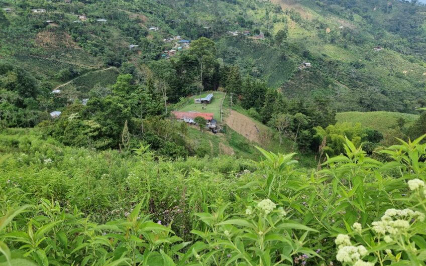 Finca Para La Venta – Córdoba Quindío
