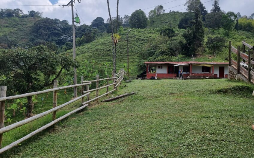 Finca Para La Venta – Córdoba Quindío