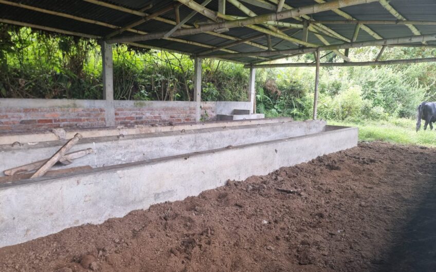 Finca Para La Venta – Córdoba Quindío