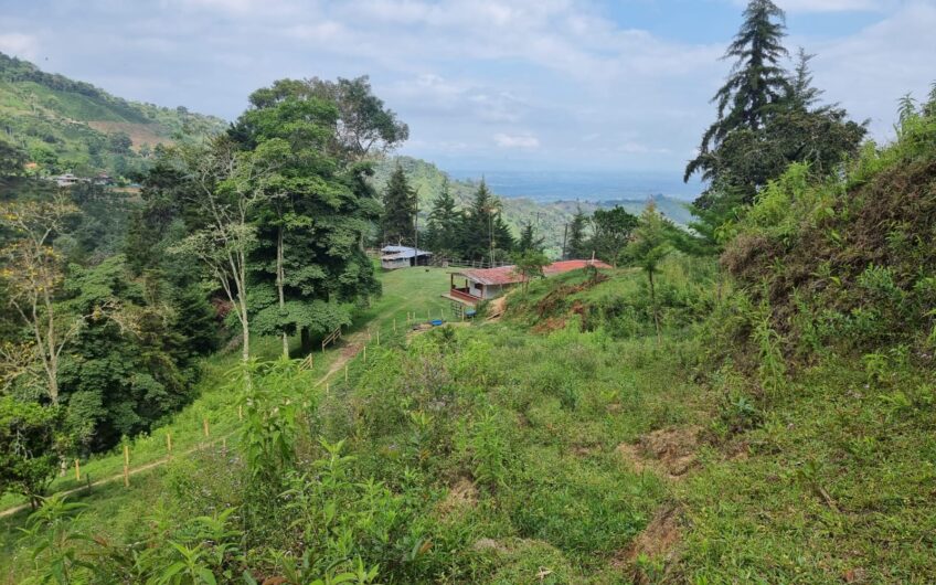 Finca Para La Venta – Córdoba Quindío