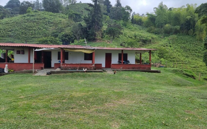 Finca Para La Venta – Córdoba Quindío