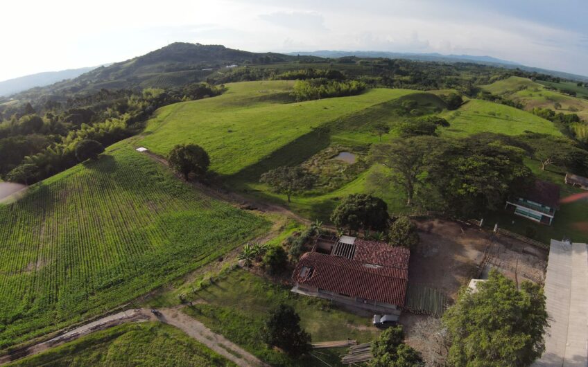 Finca Para La Venta en Caicedonia Valle del Cauca