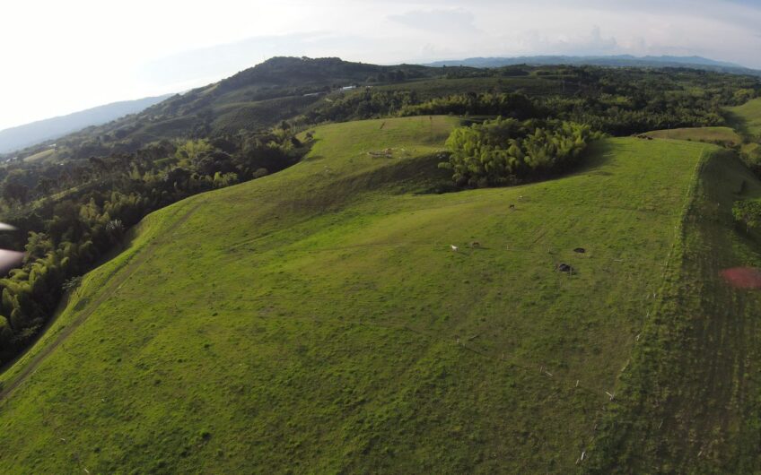 Finca Para La Venta en Caicedonia Valle del Cauca