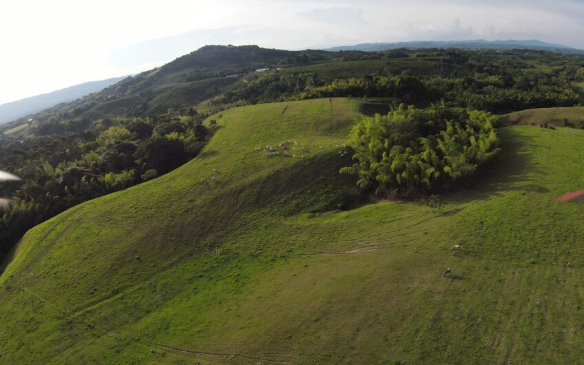 Finca Para La Venta en Caicedonia Valle del Cauca