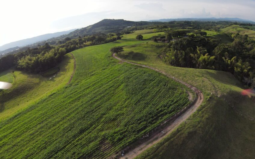 Finca Para La Venta en Caicedonia Valle del Cauca