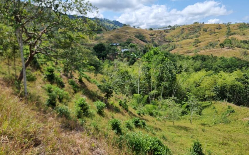 Finca Ganadera Para la Venta Quebrada Nueva Valle del Cauca