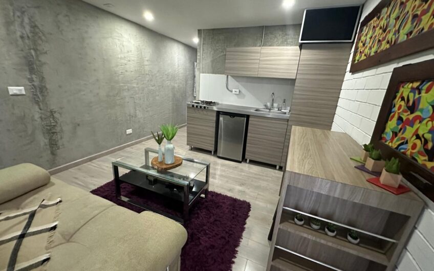 Apartaestudio Amoblado Para Alquilar Sector la  Castellana