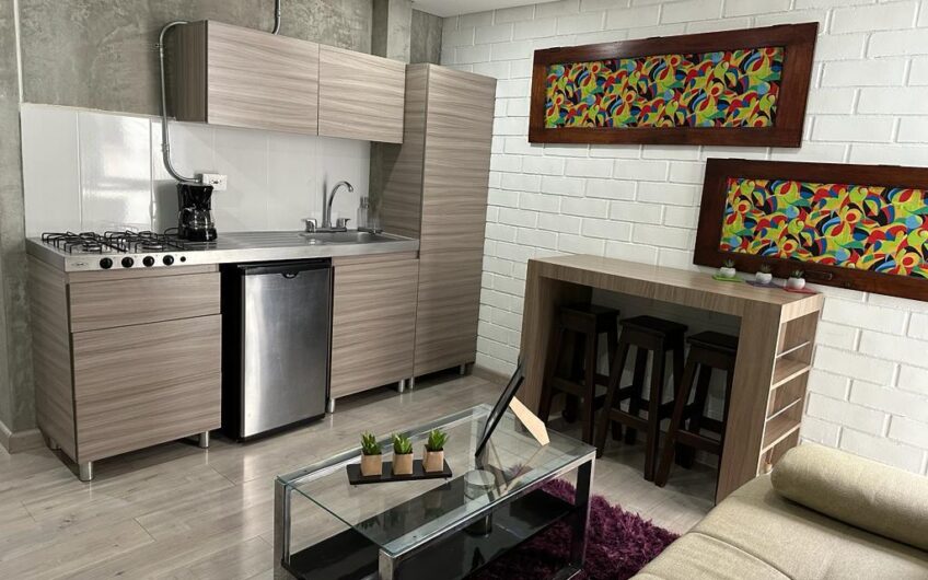 Apartaestudio Amoblado Para Alquilar Sector la  Castellana