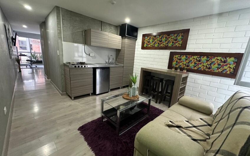 Apartaestudio Amoblado Para Alquilar Sector la  Castellana