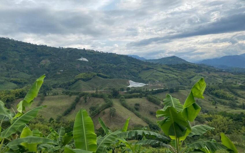 Finca Para La Venta Buena Vista – Vereda Palo Negro