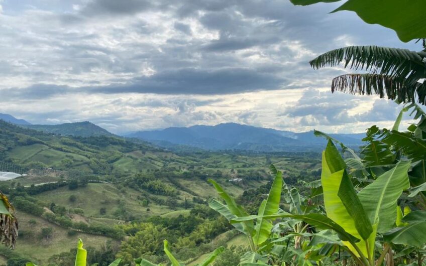 Finca Para La Venta Buena Vista – Vereda Palo Negro