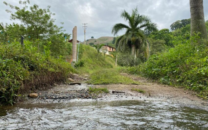 Finca Para La Venta Buena Vista – Vereda Palo Negro