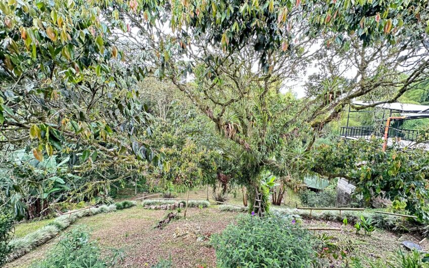 Casa Campestre Para la Venta – Vía a Circasia